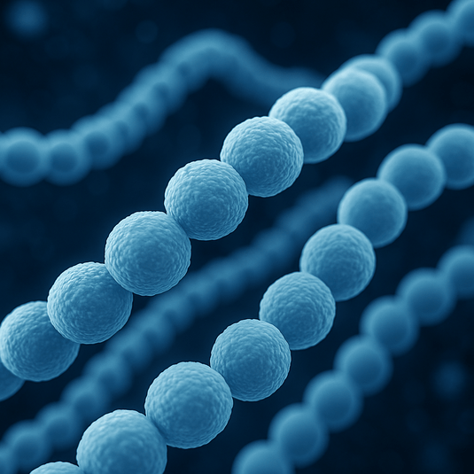 DentalHealthLabs Bakterie Streptococcus mutans auf Zahnbürsten