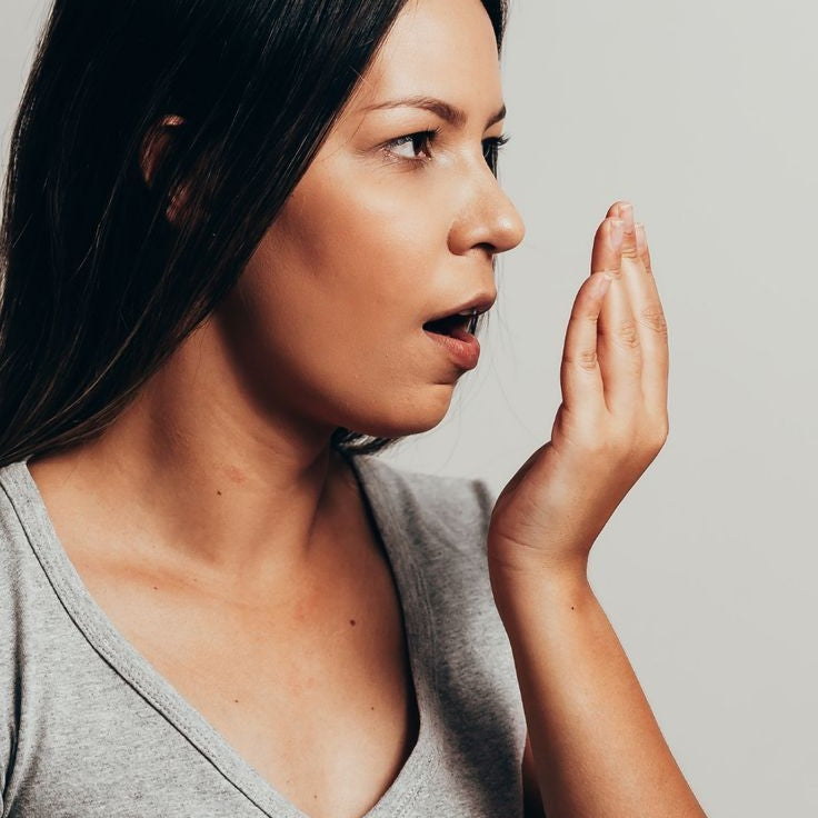 DentalHealthLabs Mundgeruch Halitosis durch Bakterien auf der Zahnbürste